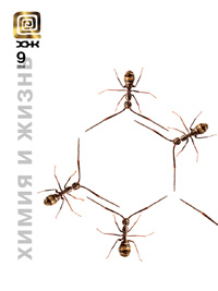 «Химия и жизнь» №9, 2014