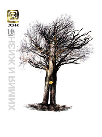 «Химия и жизнь» №10, 2006