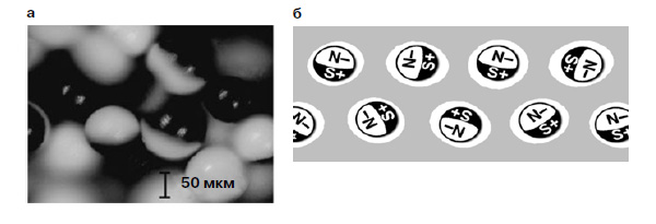 Рис. 6. Гирикон: полимер с внедренными черно-белыми сферическими частицами (а), магнитоэлектрический композит на основе гирикона: частицы-диполи вращаются в микрополостях с жидкостью. +/- электрические, S, N — магнитные полюса (б)