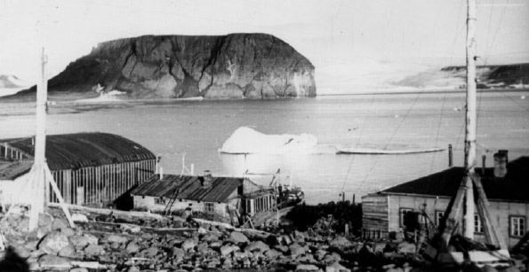 Полярная станция в бухте Тихая, Земля Франца-Иосифа. Фото В.А.Маркина. Изображение: «Химия и жизнь»