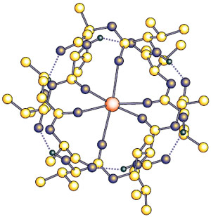 Кристаллическая структура K+-комплекса валиномицина. Этот переносчик ионов проходит сквозь мембрану клетки и на другом её конце отдаёт ион в раствор. Изображение: «Наука и жизнь»
