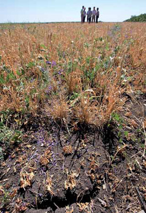 Изображение: «Экология и жизнь»