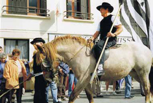 Покушение на лингвистическое убийство