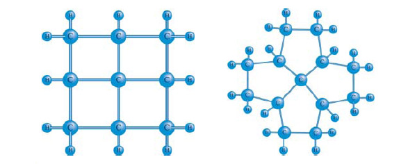 Рис. 2. Возможные конструкции фенестранов. Изображение: «Химия и жизнь»