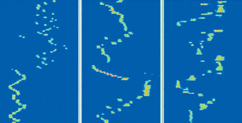 Сонограммы трех 40-секундных фрагментов музыкальных произведений, исполненных на терменвоксе — электромузыкальном инструменте, генерирующем сигналы с минимальным уровнем обертонов. Слева направо: финал 9-й симфонии Бетховена, «Лебедь» Сен-Санса и «Лето» Гершвина