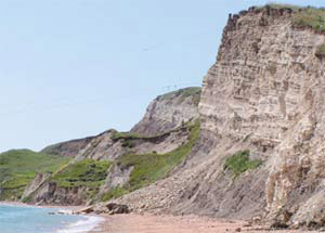 Обрыв с остатками пляжа и признаками подмыва (осыпь) на крымском побережье в южной части Керченского пролива в районе пос. Заветное. Фото А. Були, «Наука и жизнь»