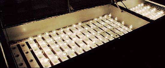 Фото: «Наука и жизнь»