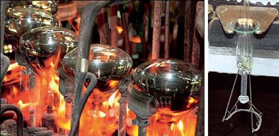 Фото: «Наука и жизнь»