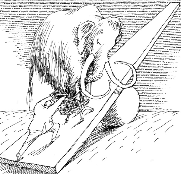 Художник С. Тюнин