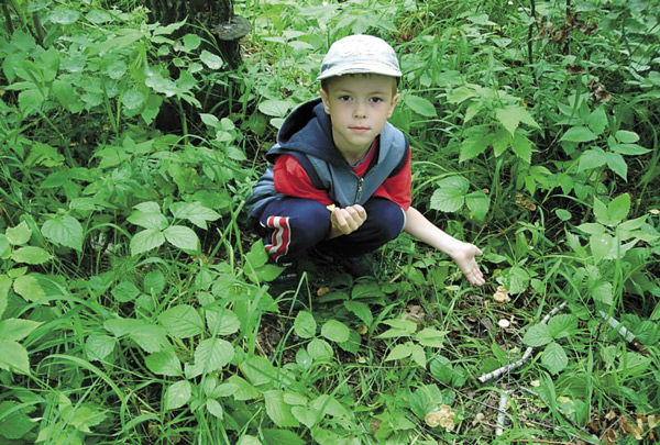 Такие круги из плодовых тел шляпочных грибов, встречающиеся на полянах и лугах, в народе называли «ведьмиными кольцами»