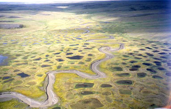 Тундра в Ямало-Ненецком автномном округе, на юге которого, в долинах рек Пур и Таз, живут лесные ненцы (фото с сайта www.hi.is)