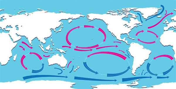 Самая мощная циркуляция в Мировом океане вызвана действием ветров. Медленные кольцеобразные течения, существующие как в Северном, так и в Южном полушариях, основательно перемешивают воду в океанах (красный кружочек — теплая, голубой кружочек — холодная, стрелочки — направление движения)