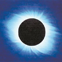 В погоне за тенью