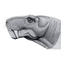 Как оживают кости ящеров?