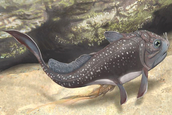 Materpiscis attenboroughi