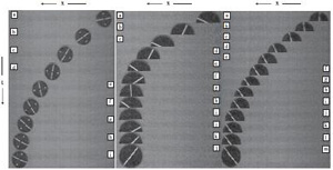 Последние мгновения перед остановкой: (а) вращение и скольжение останавливаются одновременно, (б) скольжение прекращается раньше и (в) скольжение прекращается позже, чем вращение (изображение с сайта prl.aps.org)