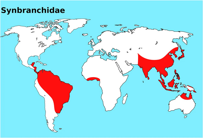 Рис. 8. Карта распространения ложноугрей
