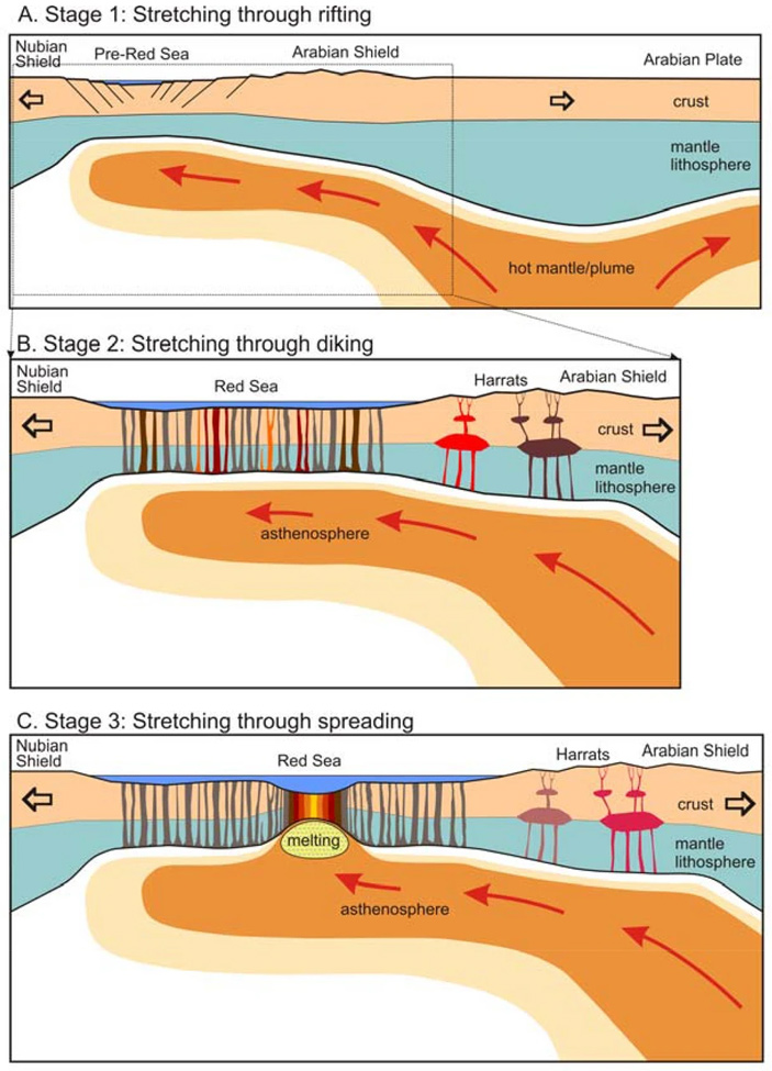 Рис. 6. Три этапа перехода от континентального рифтинга к океаническому спредингу
