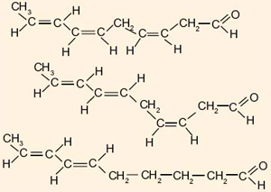 Альдегидное оружие диатомей