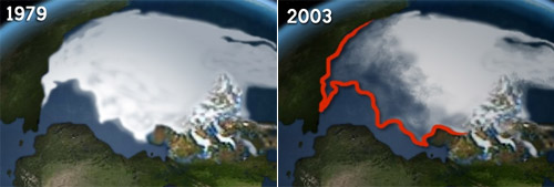 Площади ледяного покрова Северного Ледовитого океана, 1979 и 2005 гг. (изображение с сайта www.net.org)