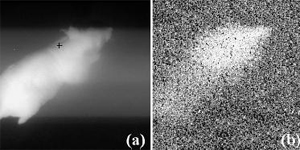 Фотография живой мыши при тусклом освещении в оптическом диапазоне (a) и в «лучах сонолюминесцентного света» (b). Препарат, введенный подкожно в точке, помеченной крестиком, диффундировал в мягких тканях верхней части тела мыши. Область диффузии отчетливо видна на фотографии (b) (изображение с сайта www.iop.org)