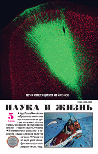 «Наука и жизнь» №5, 2006