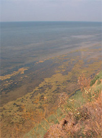 Озеро Маныч-Гудило — реликт долины слива вод Хвалынского бассейна (древний Каспий) в Новоэвксинский бассейн (древнее Черное море). Фото с сайта www.sciam.ru