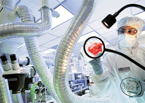 Изображение с сайта www.popmech.ru