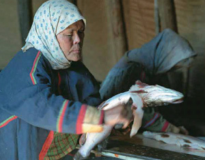 Женщина разделывает рыбу. Стойбище Воен-то (фото: «Наука из первых рук»)