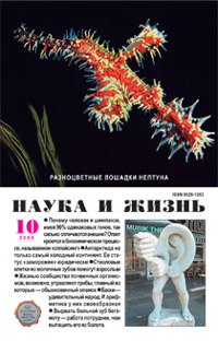 «Наука и жизнь» №10, 2006