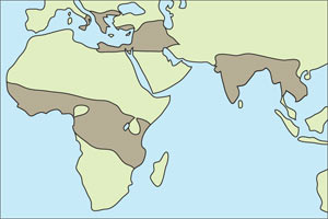 Природные зоны распространения малярии (на карте выделены темным цветом) (изображение: «Наука и жизнь»)
