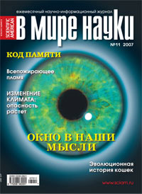 «В мире науки» №11, 2007