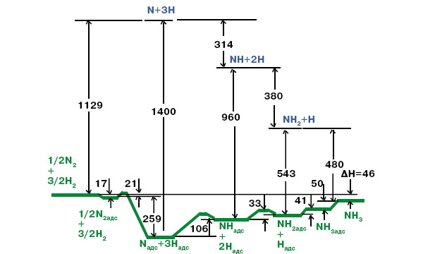 Рис. 3. Энергетическая диаграмма каталитической реакции синтеза аммиака (все величины — в единицах кДж/моль). Этот рисунок в концентрированном виде показывает основные достижения лауреата по энергетике реакций: уровни энергии для исходных реагентов и конечных продуктов были известны давно, а получить их для промежуточных частиц было весьма трудно. Изображение: «Химия и жизнь»