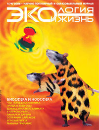 «Экология и жизнь» №1, 2008