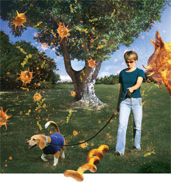 Изображение: «В мире науки»