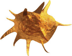 Изображение: «В мире науки»