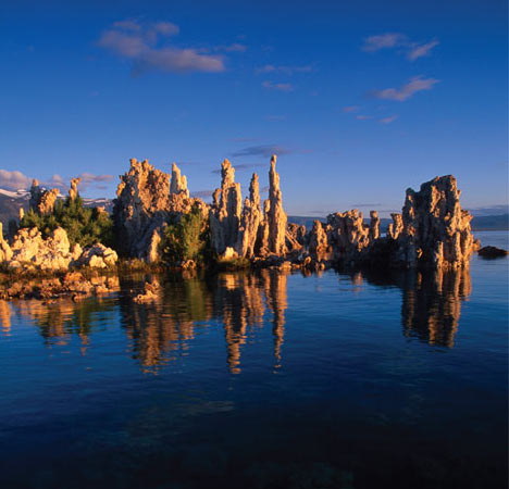 Изображение: «В мире науки»