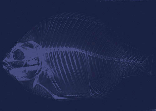 Изображение: «Популярная механика»