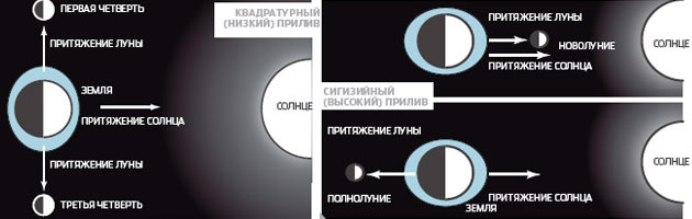 Приливы и отливы. Именно Луна является основной причиной образования приливных явлений на Земле. В зависимости от фазы Луны прилив может быть квадратурным (наиболее низкий) и сигизийным (наиболее высокий). Причина — во взаимном положении Земли, Луны и Солнца. Изображение: «Популярная механика»