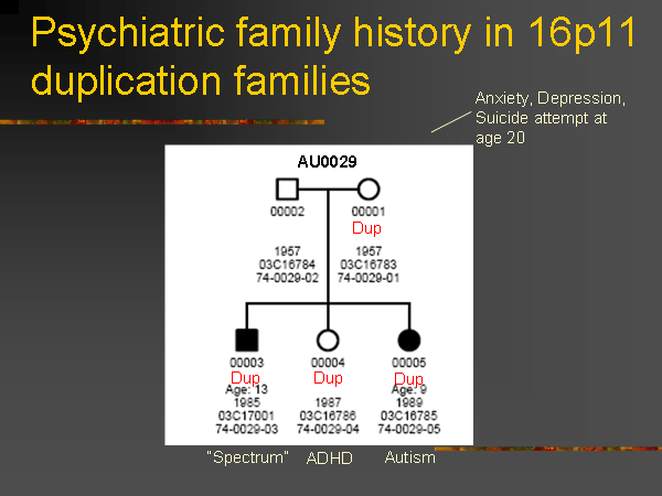 Презентация лекции Джеймса Уотсона «ДНК и мозг: в поисках генов психических заболеваний». Дом ученых. 3 июля 2008 года