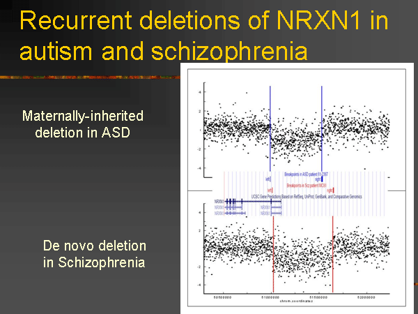 Презентация лекции Джеймса Уотсона «ДНК и мозг: в поисках генов психических заболеваний». Дом ученых. 3 июля 2008 года