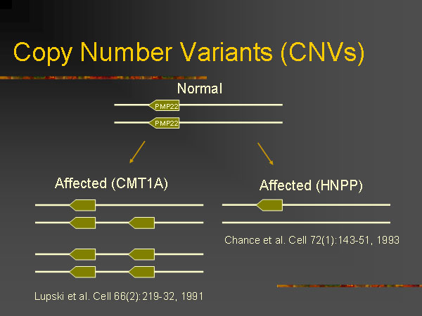 Презентация лекции Джеймса Уотсона «ДНК и мозг: в поисках генов психических заболеваний». Дом ученых. 3 июля 2008 года