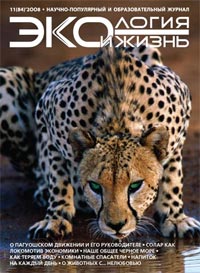 «Экология и жизнь» №11, 2008