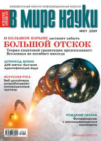 «В мире науки» №1, 2009