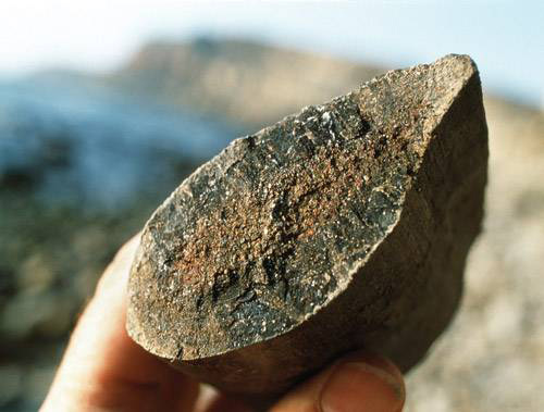 Внутри конкреции видна малая берцовая кость аллозавра, жившего примерно 150 млн лет назад. Находка сделана в Португалии. Изображение: «Популярная механика»