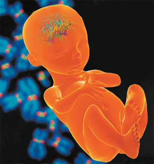 Изображение «Экология и жизнь»