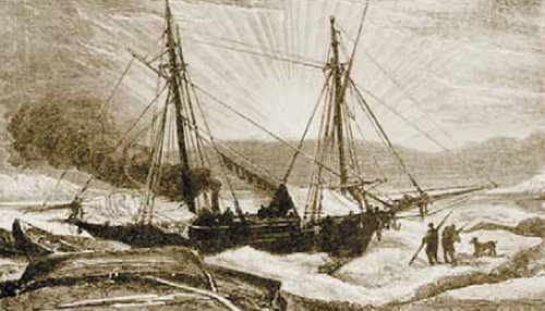 Изображение: «Наука и жизнь»