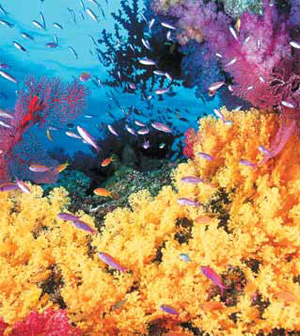 Изображение: «Экология и жизнь»