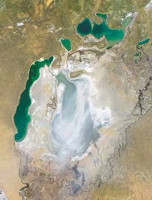 Изображение: «Экология и жизнь»