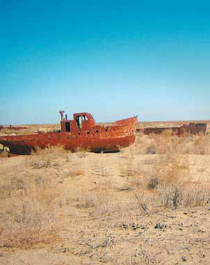 Изображение: «Экология и жизнь»